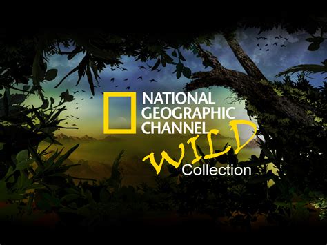 chanel geographic|national geographic tv channels.